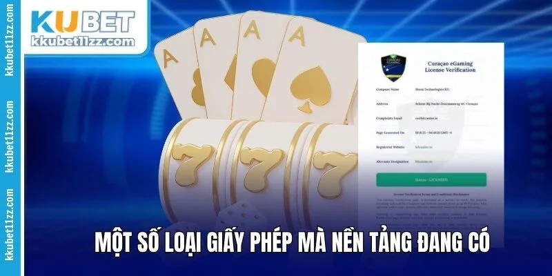Một số loại giấy phép mà nền tảng đang có 