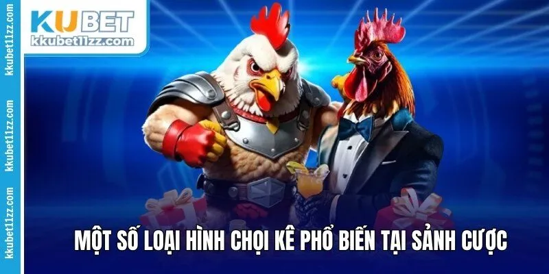 Một số loại hình chọi kê phổ biến tại sảnh cược