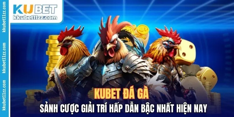 KUBET Đá Gà – Sảnh Cược Giải Trí Hấp Dẫn Bậc Nhất Hiện Nay 